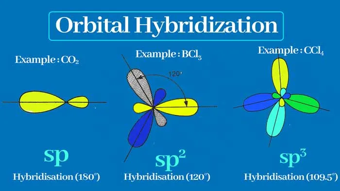 Types of Hybridization